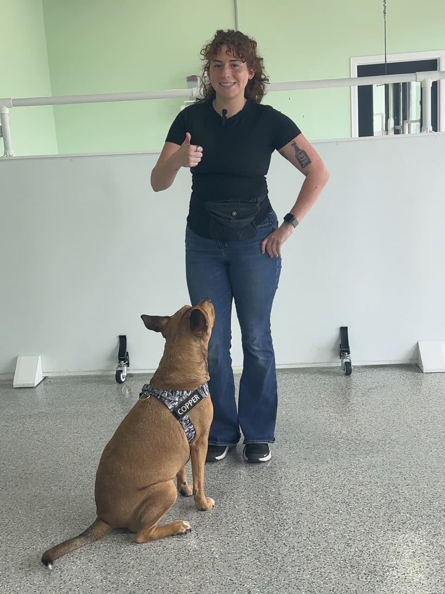 A dog participating in training at Planet Pooch