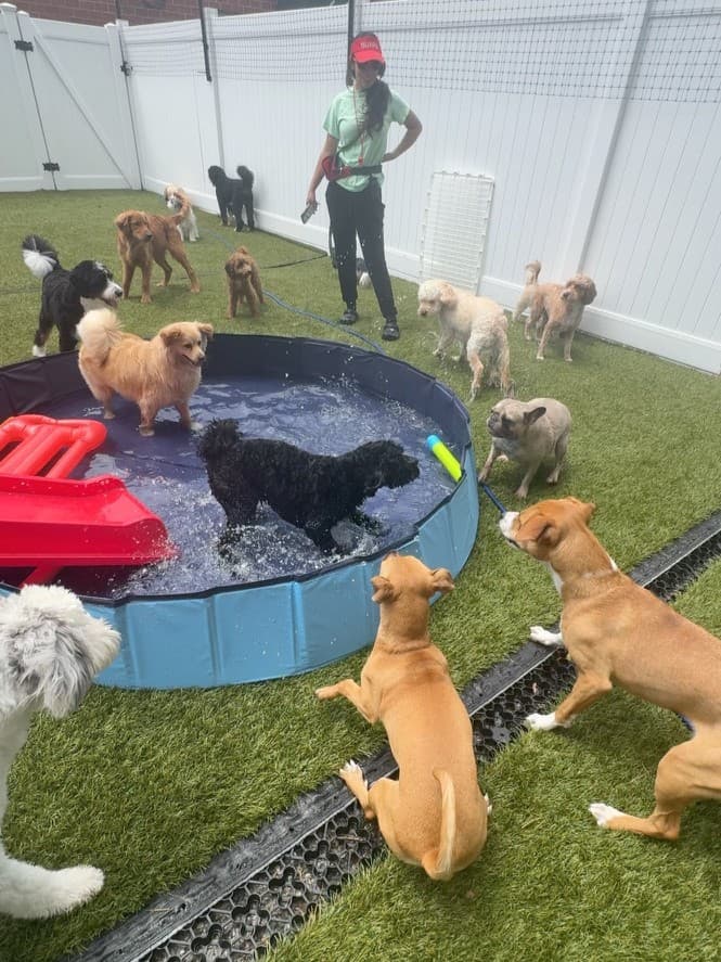 Daycare