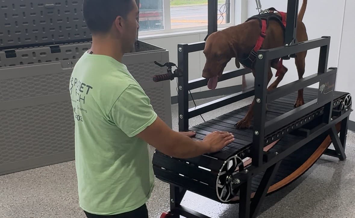 Enrichment at Planet Pooch