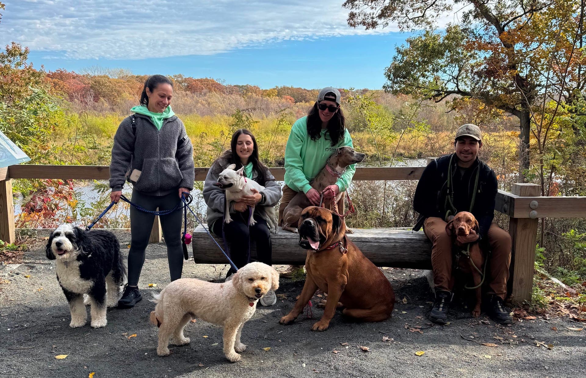 Events at Planet Pooch