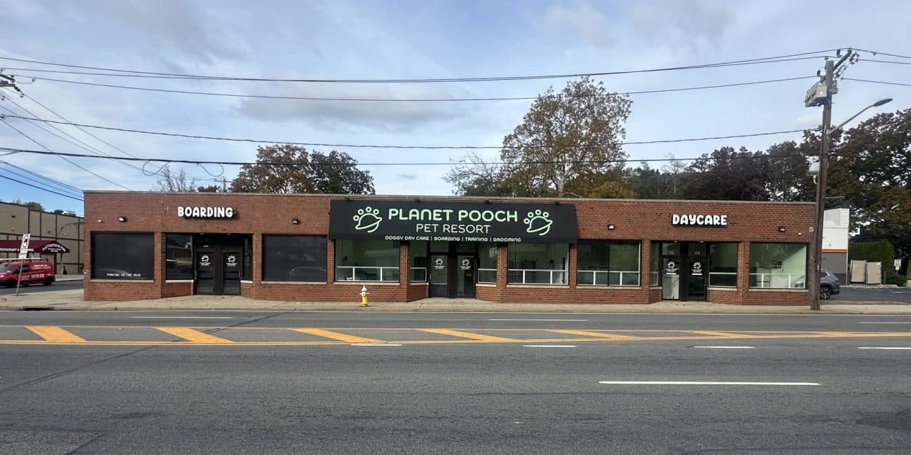 Dog Grooming in Manhasset